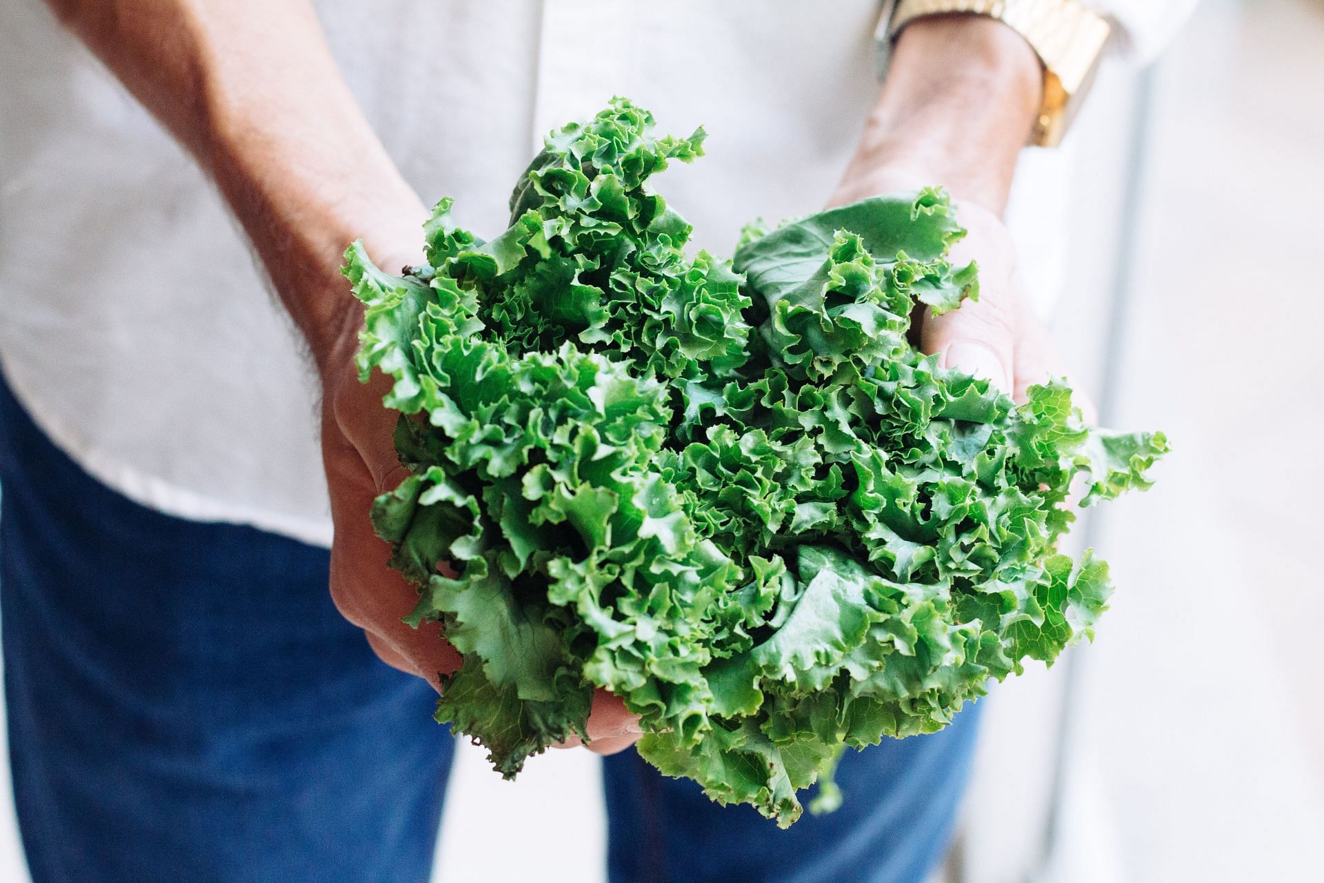 Kale is a good provider of calcium. (Image via Unsplash/ Adolfo Felix)